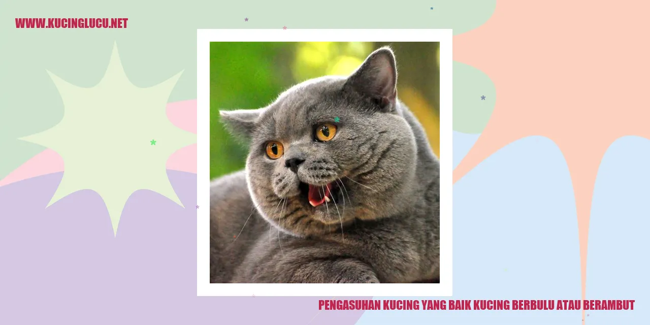 gambar kucing