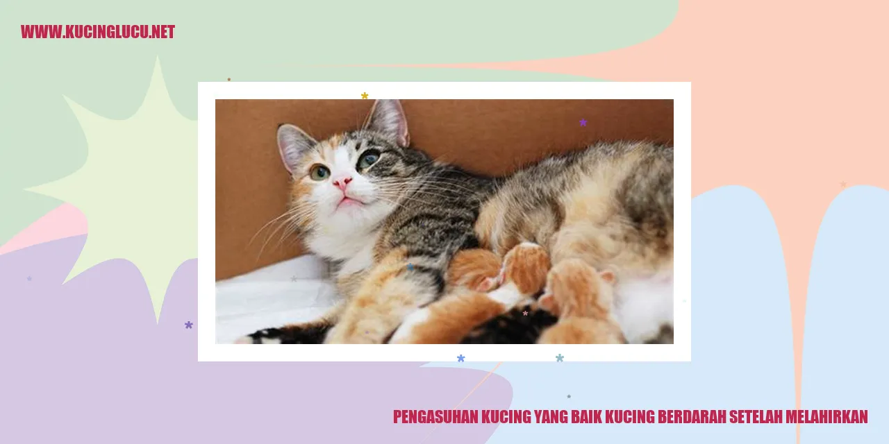 Kucing melahirkan