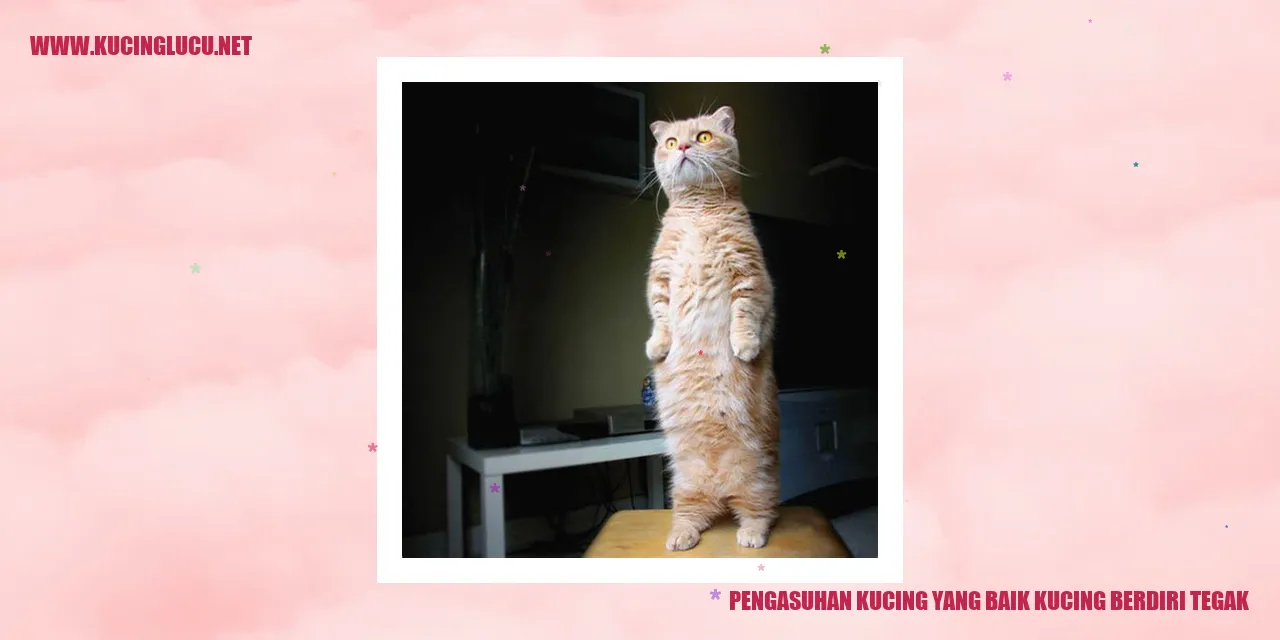 Kucing Berdiri Tegak