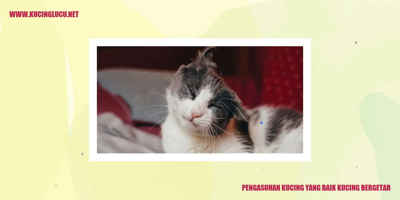 Kucing yang bergetar