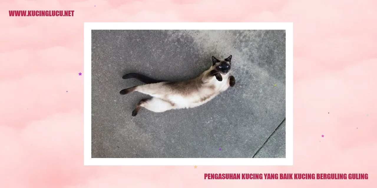 kucing berguling-guling