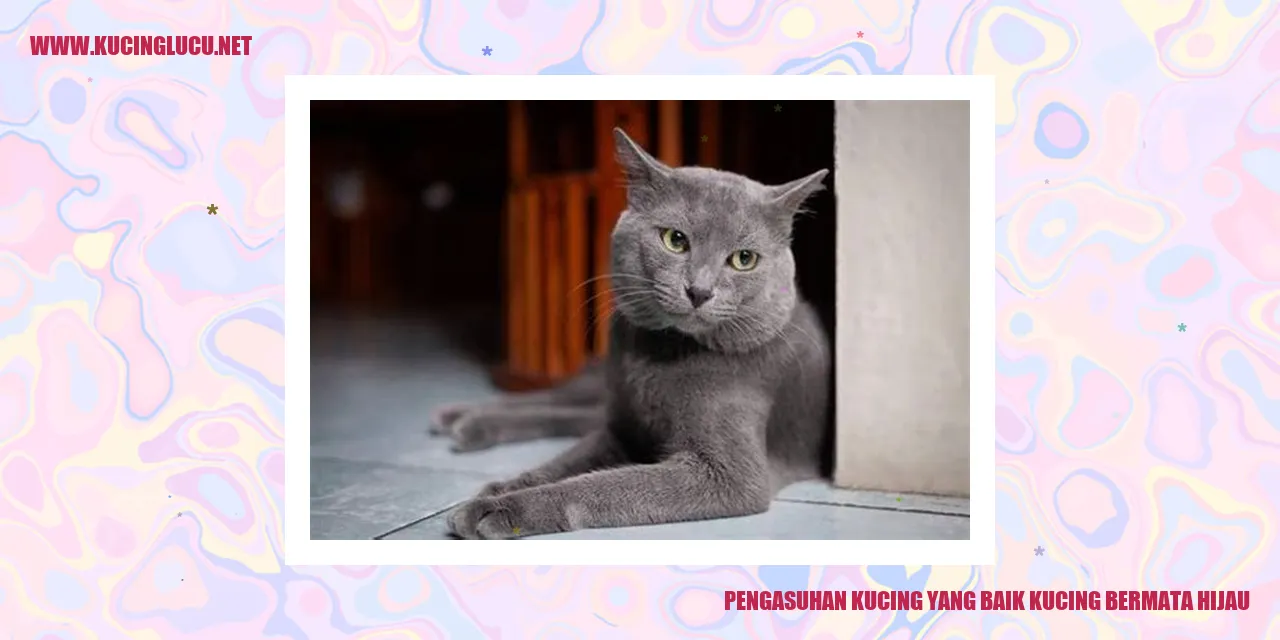 Kucing Bermata Hijau