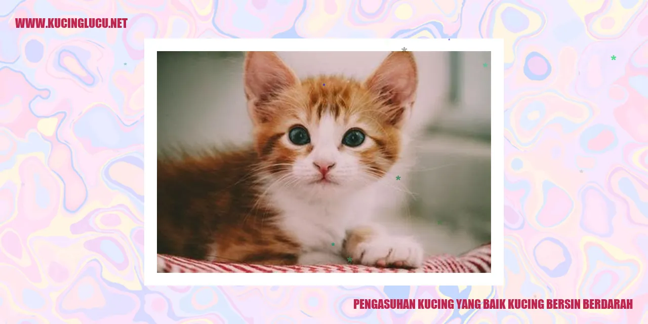Kucing yang Bersin Berdarah