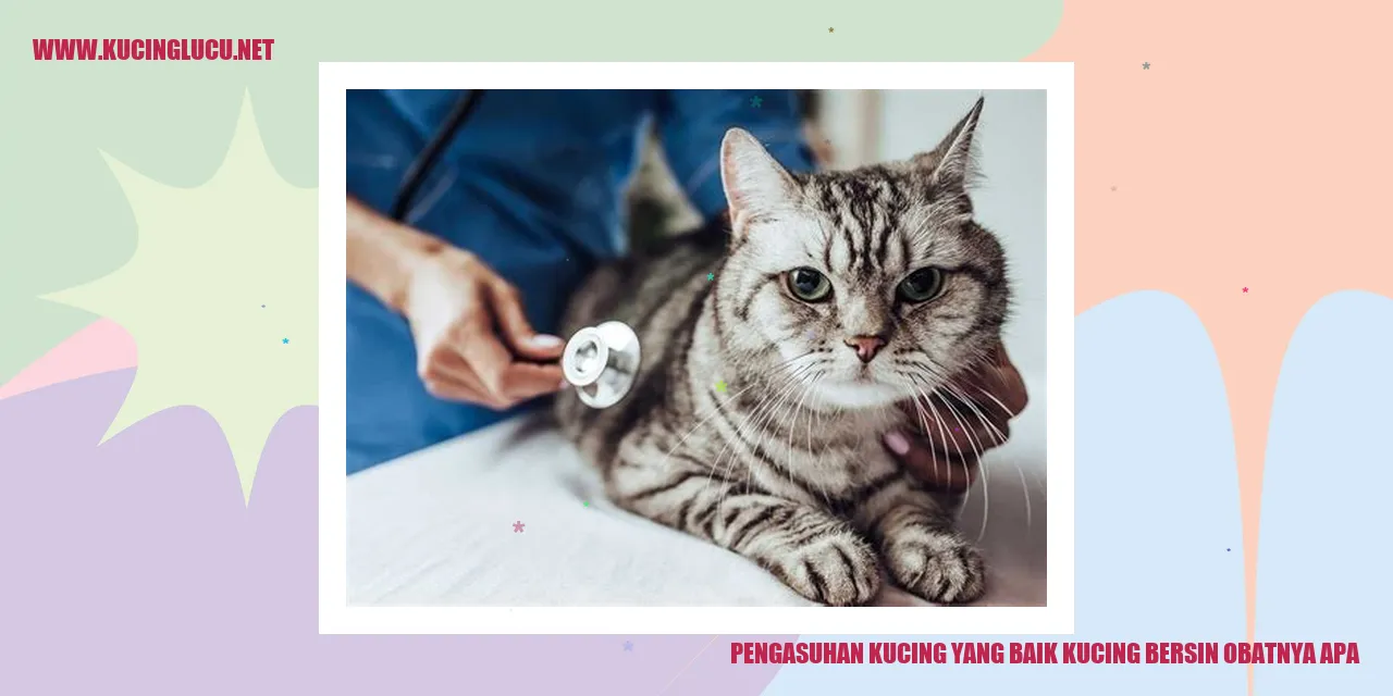Ilustrasi Kucing Batuk