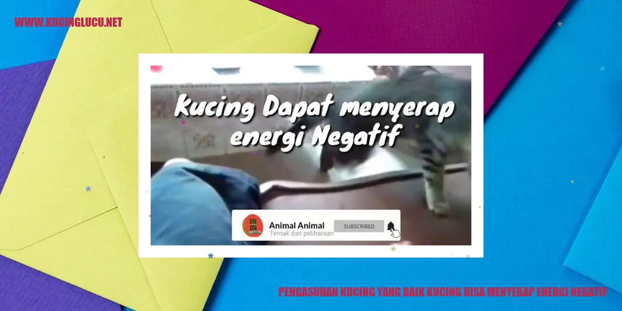 Gambar Kucing yang Baik