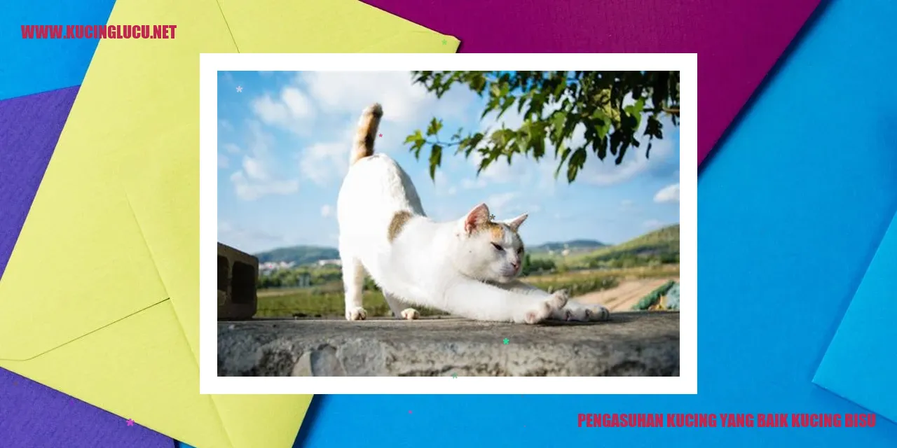 Gambar: Pengasuhan Kucing yang Baik