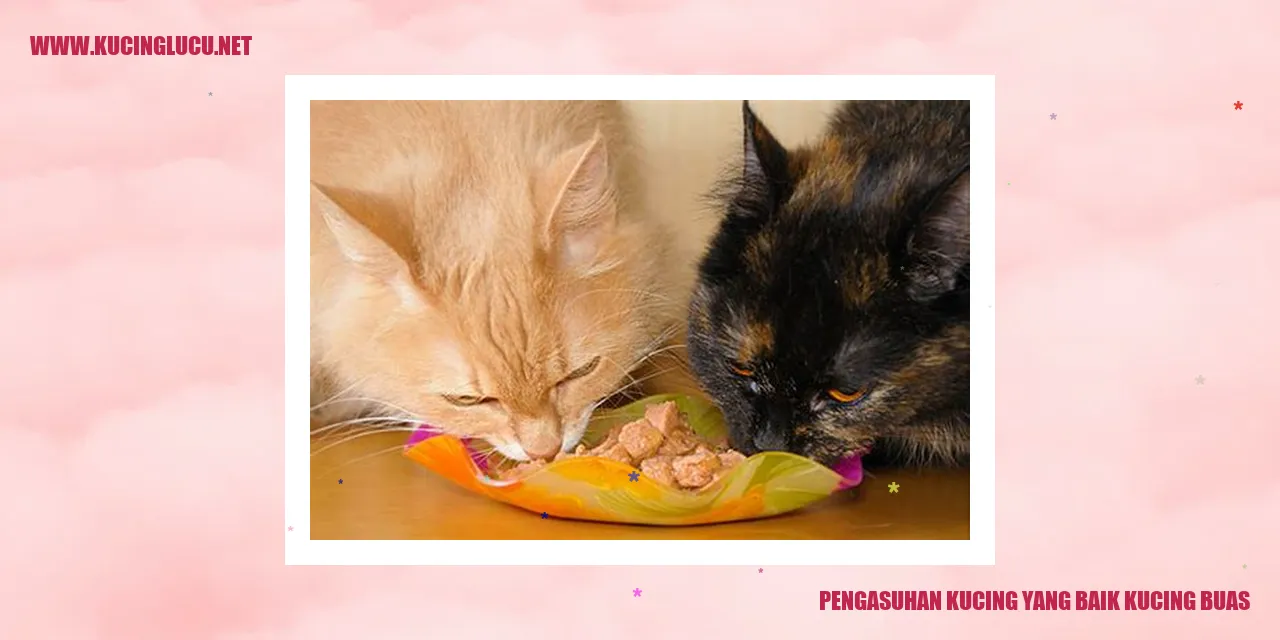 Kucing Buas