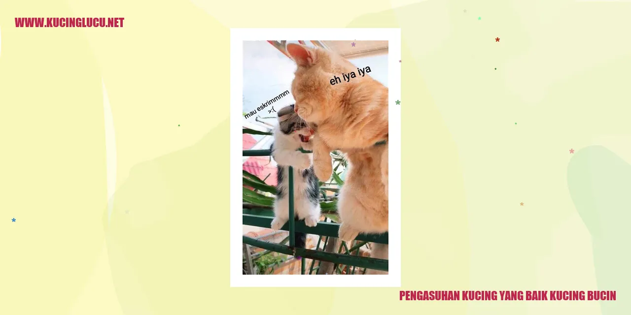 Kucing Bucin