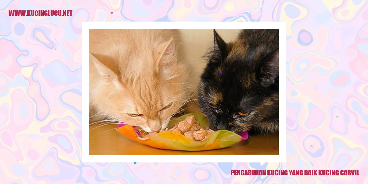 Kucing Carvil
