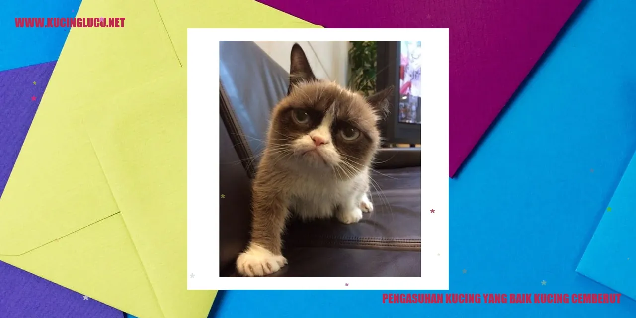 Gambar Kucing Lucu