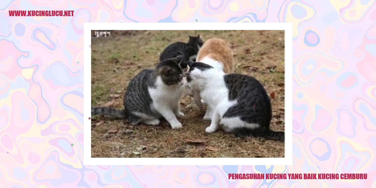 Kucing yang Cemburu