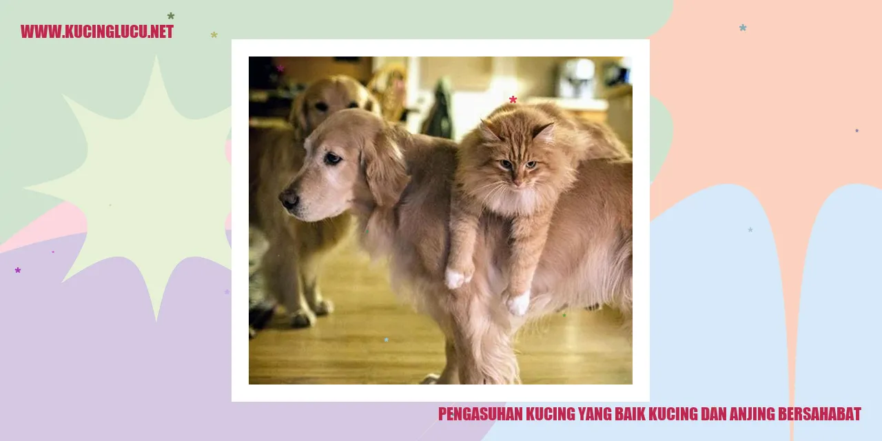 Kucing dan anjing bersahabat