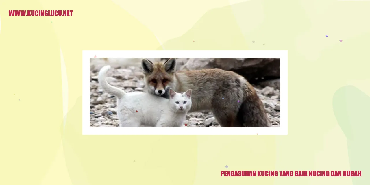 Pengasuhan Kucing yang Baik