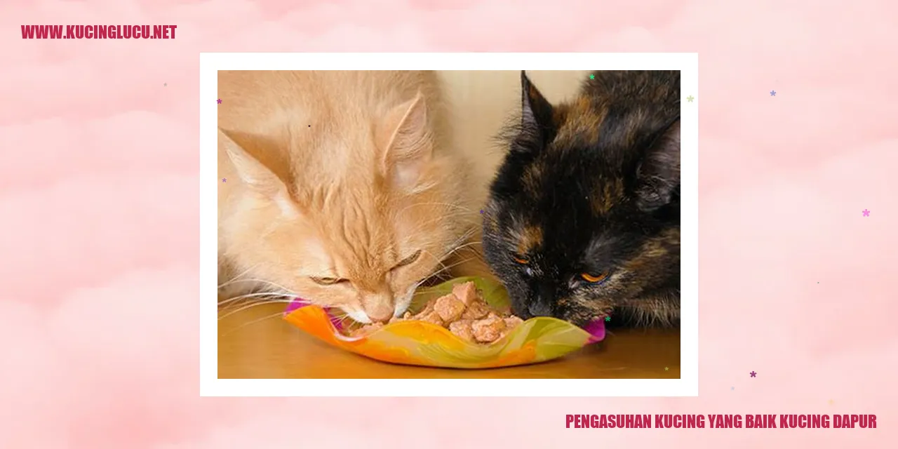 Kucing dapur