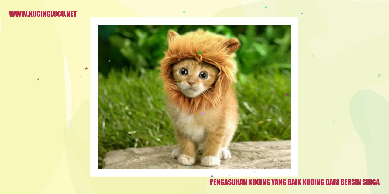 Kucing yang Sehat dan Bahagia