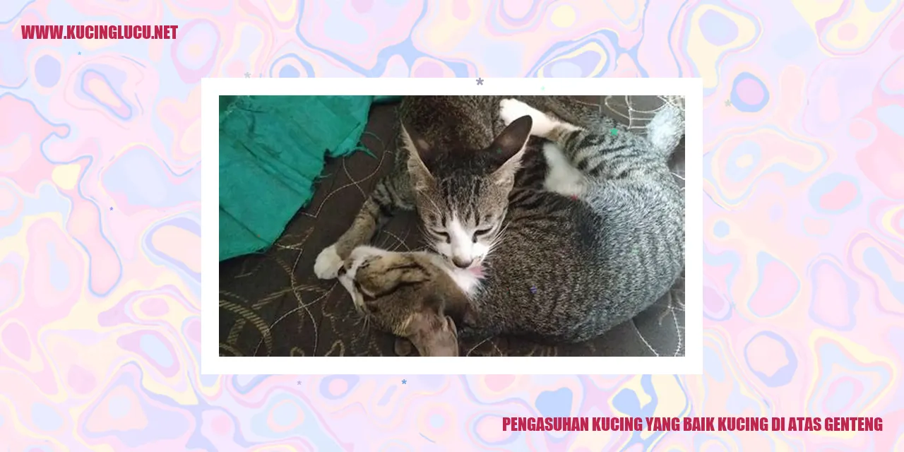 Kucing di atas genteng