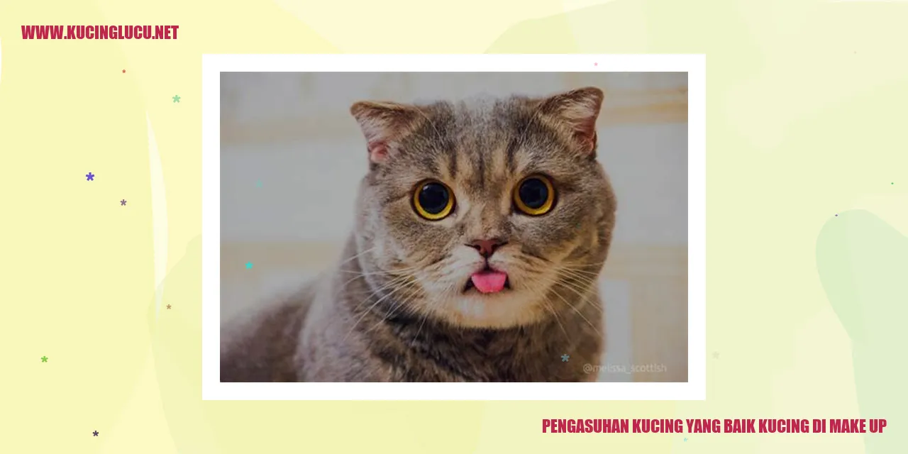 Kucing yang Diberi Make Up
