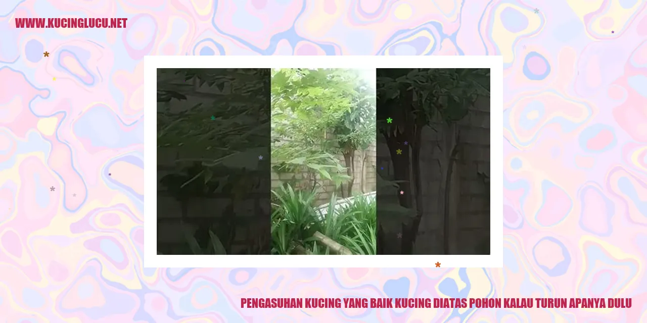 Kucing diatas pohon