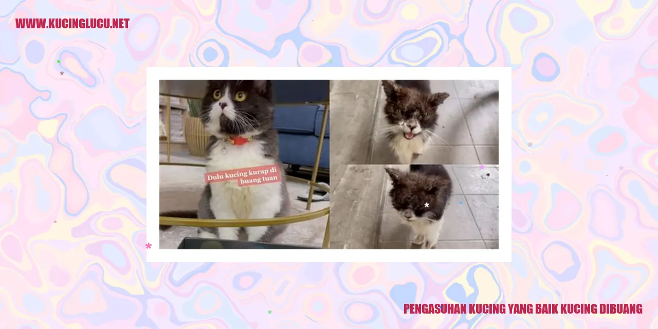 Kucing yang Dibuang