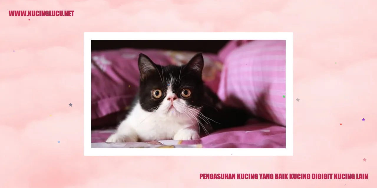 Pengasuhan Kucing yang Baik