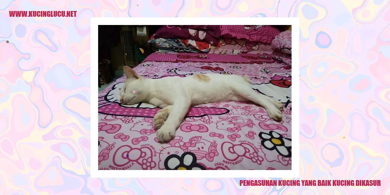 Kucing yang Bahagia
