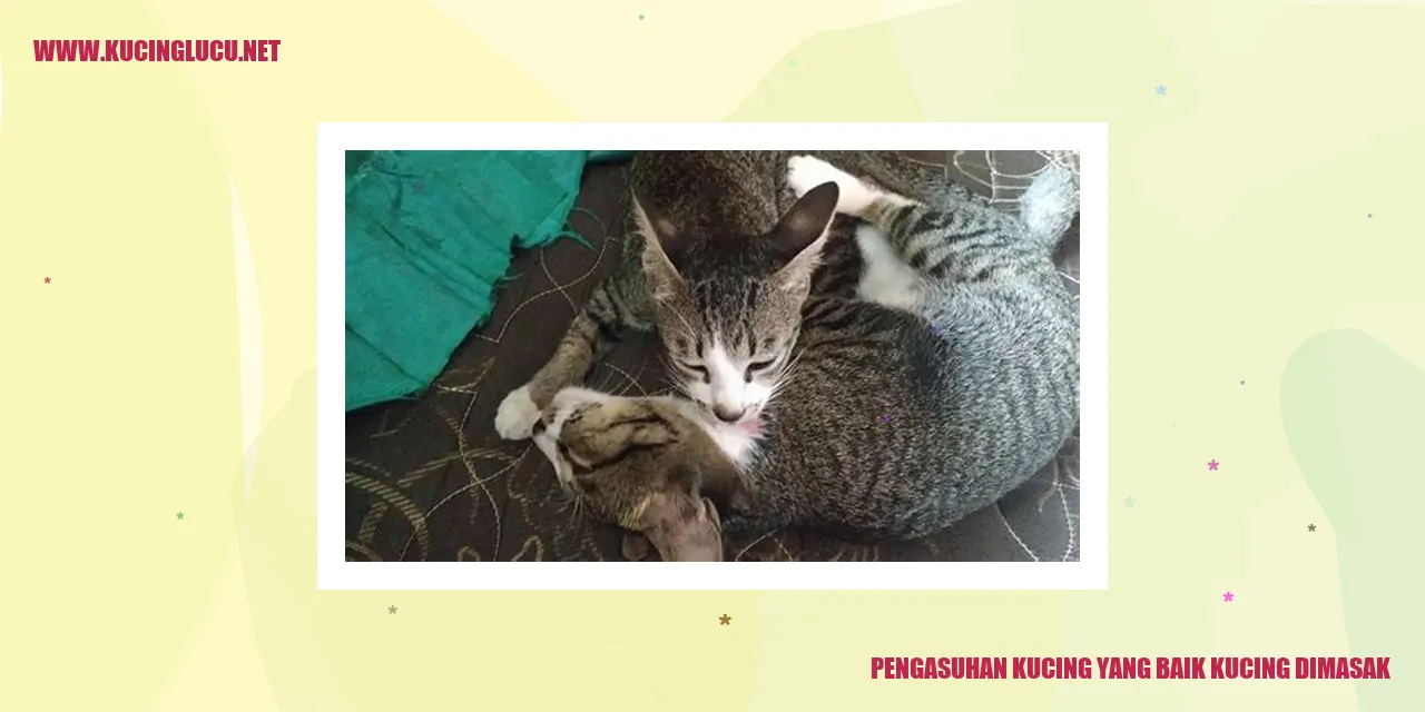 Gambar Kucing Menggemaskan