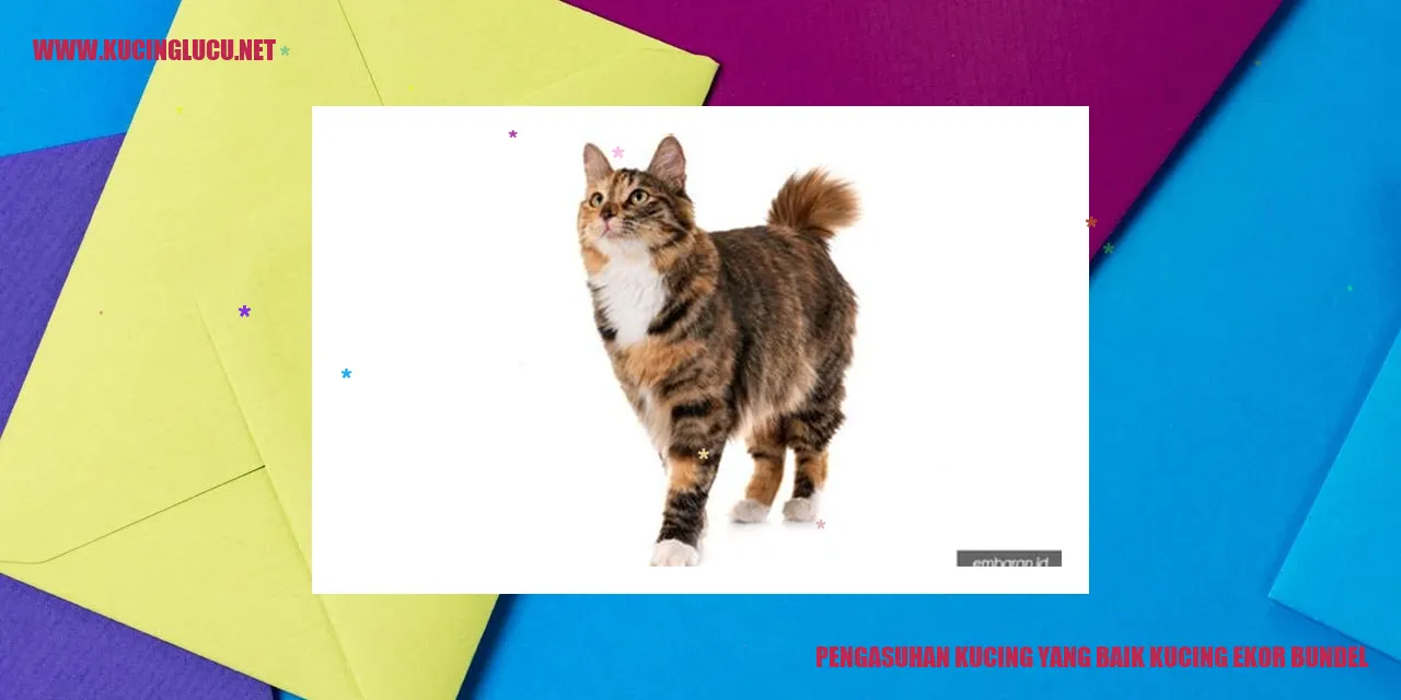 Kucing ekor bundel