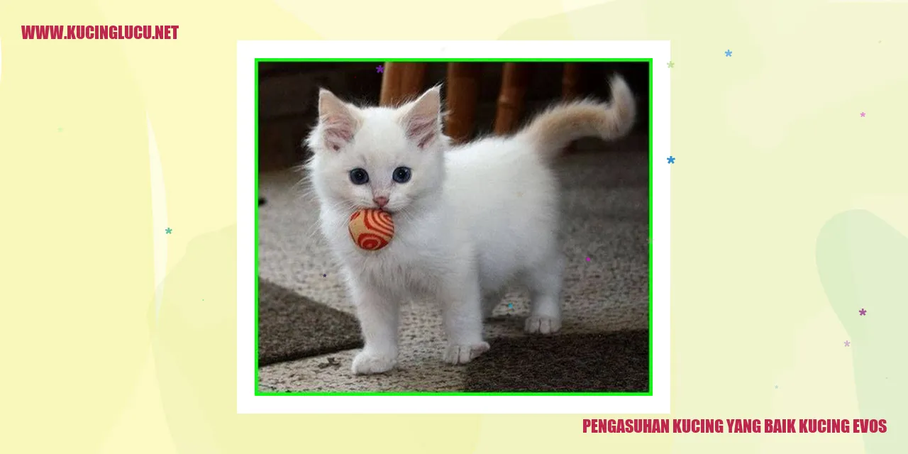 Pengasuhan kucing yang baik