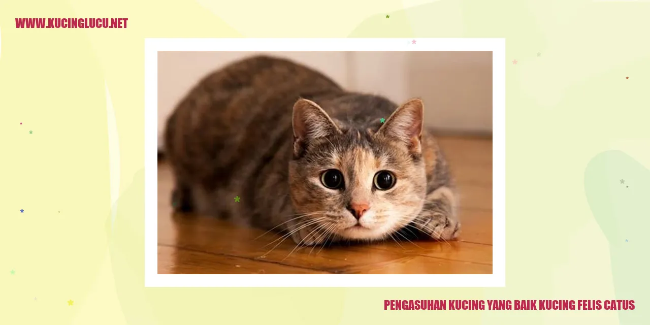 Memberikan Kucing Kesehatan dan Kebahagiaan