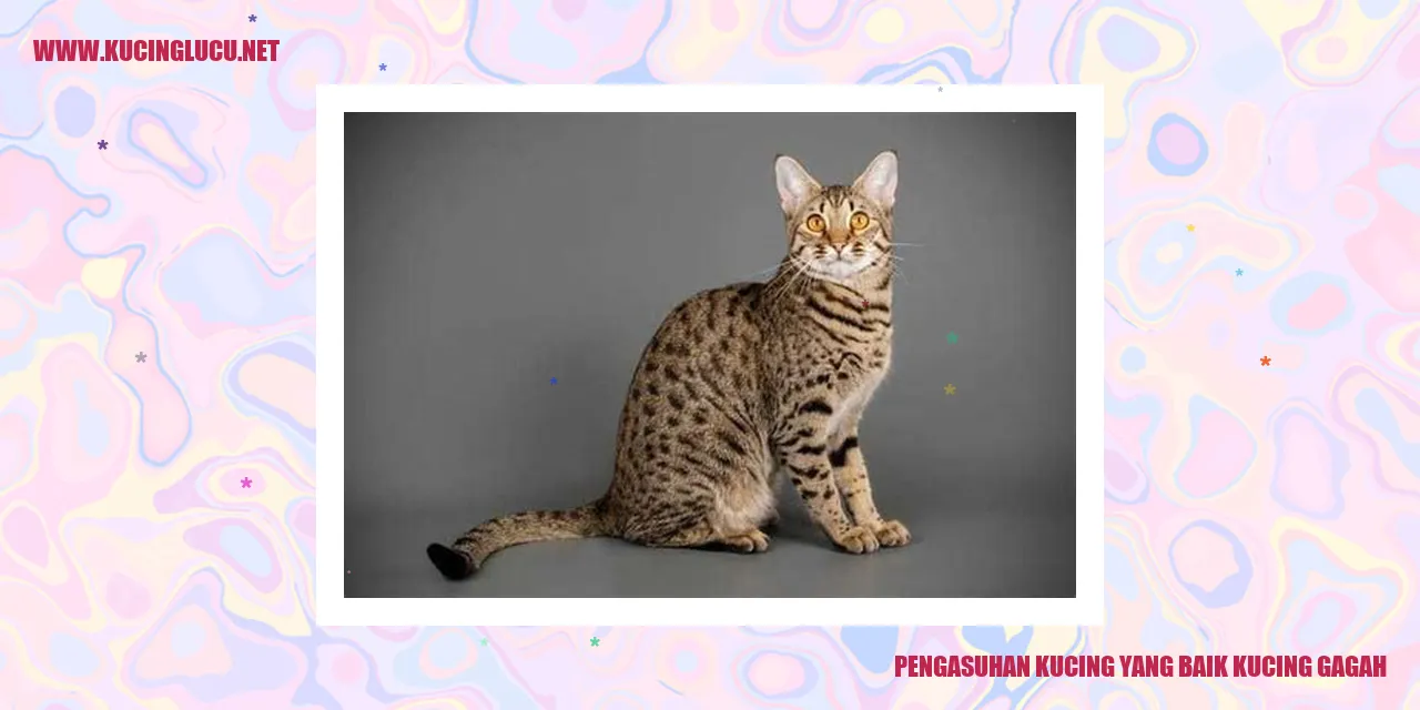 Foto Kucing yang Gagah