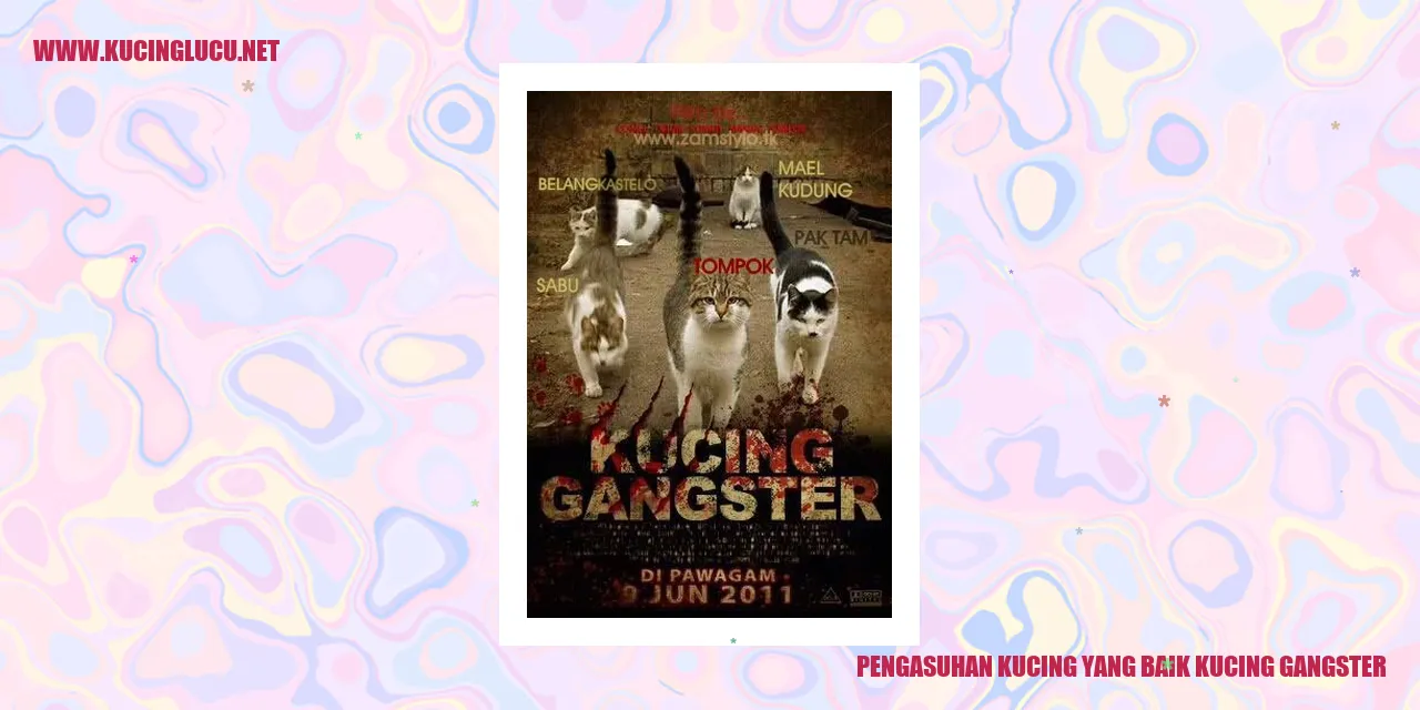 Gambar Kucing Gangster