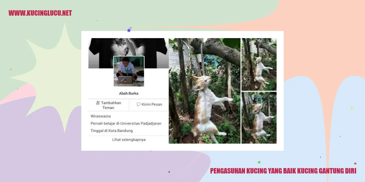 kucing gantung diri