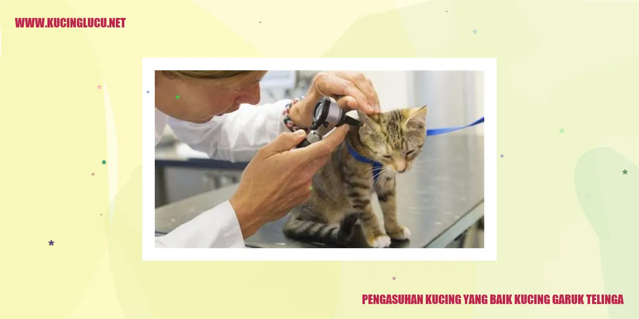 Kucing Menjaga Kebersihan Telinga