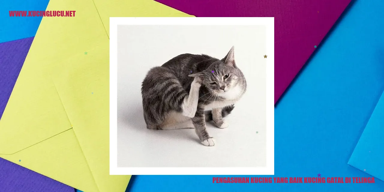Gambar kucing mengalami gatal di telinga