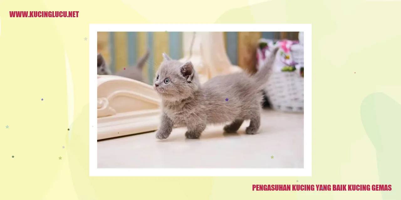 Kucing Yey Para Cao