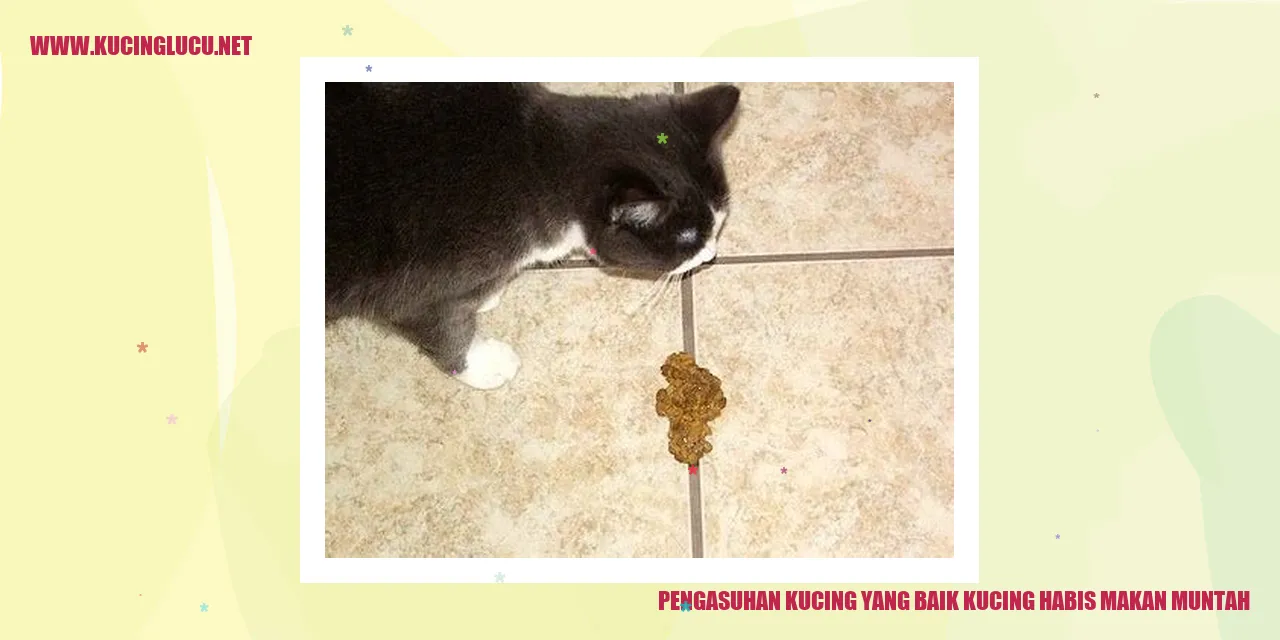 Pengasuhan Kucing yang Baik