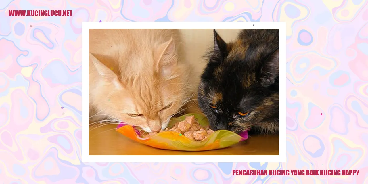 gambar kucing happy