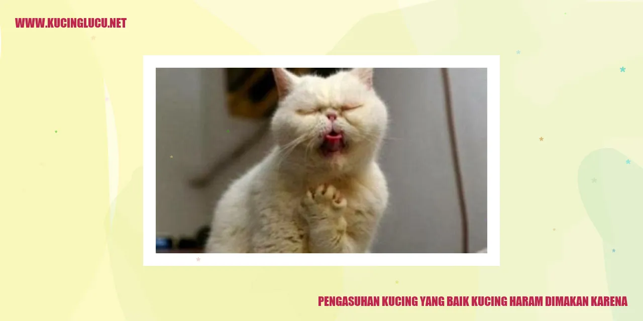 Kucing Lucu
