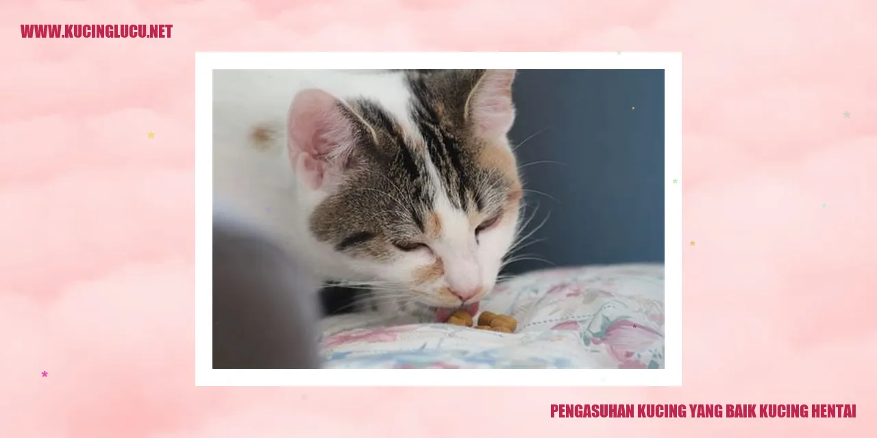 Gambar Kucing Menggemaskan