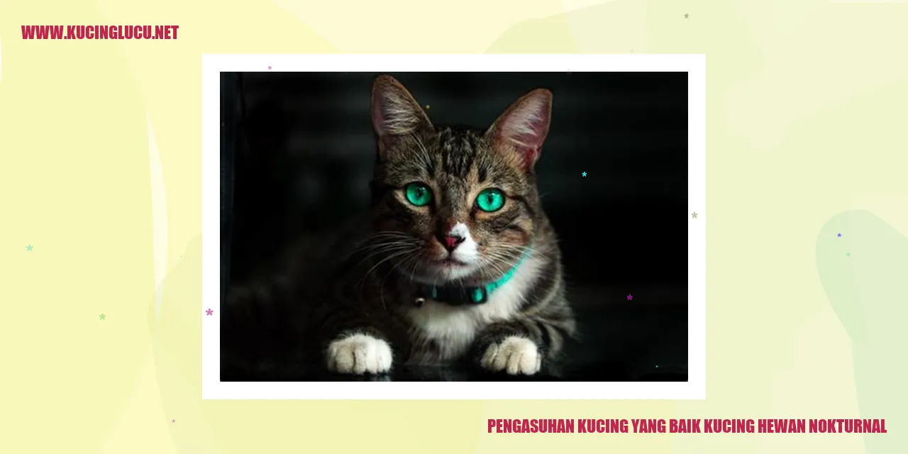 Kesehatan dan kesenangan kucing yang baik