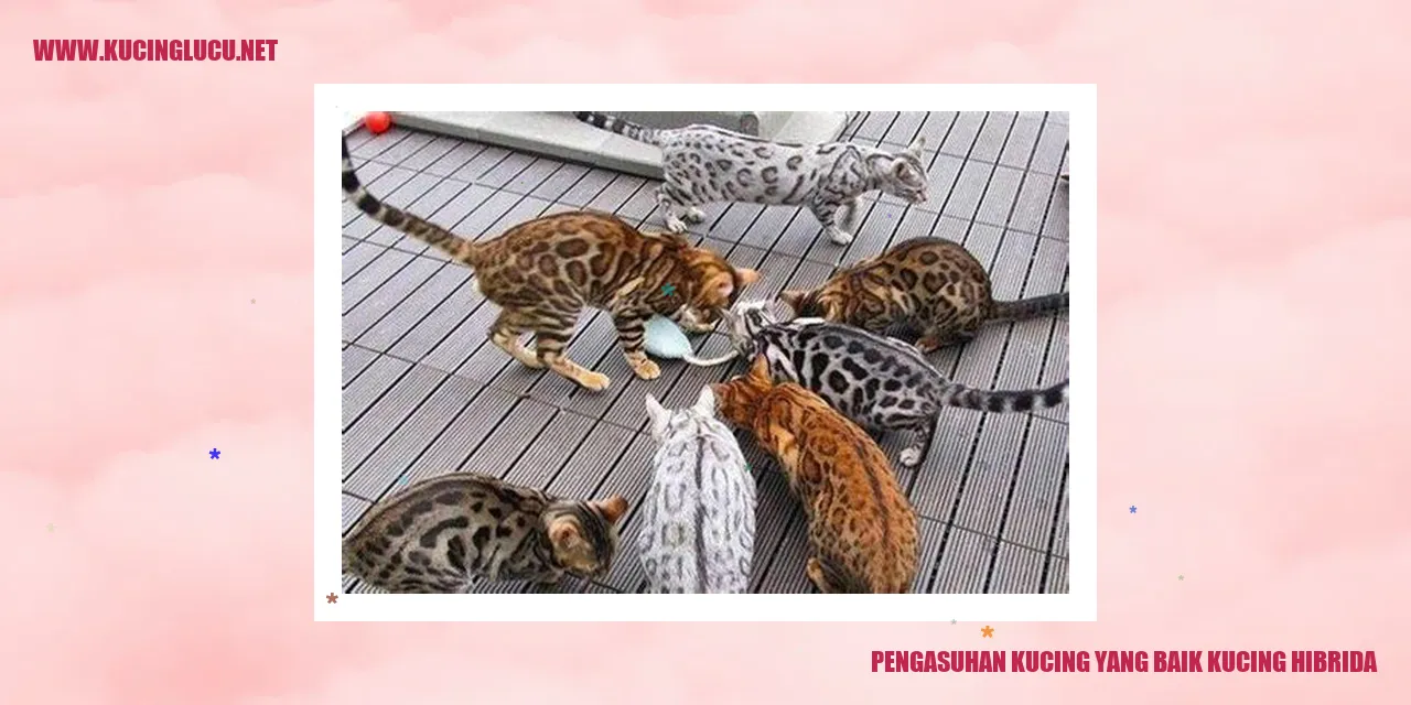 Kucing Hibrida yang Bahagia
