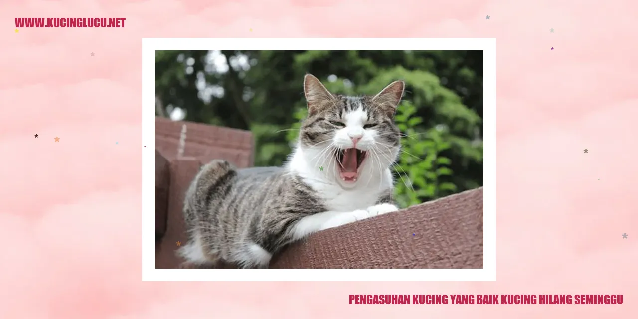 pengasuhan-kucing