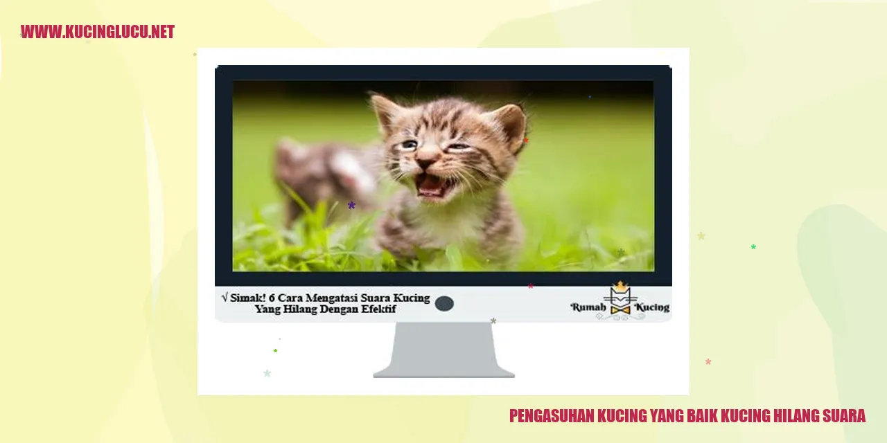 Gambar kucing lucu