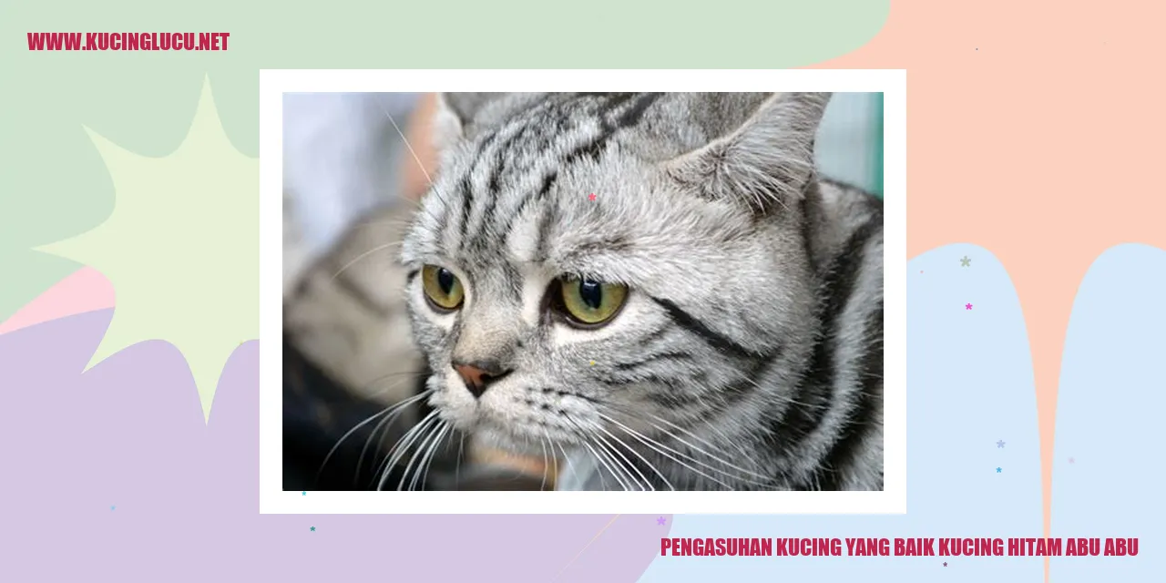 Ilustrasi Kucing Hitam Abu-abu