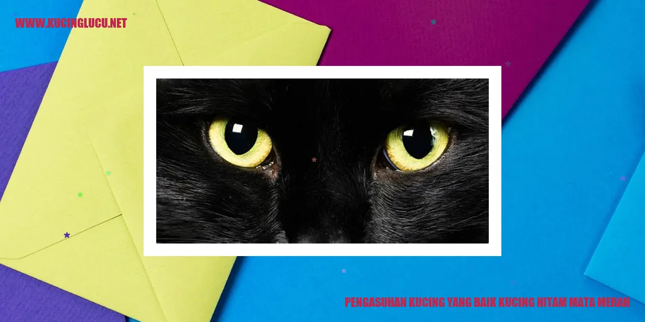 Gambar: Kucing Hitam Mata Merah