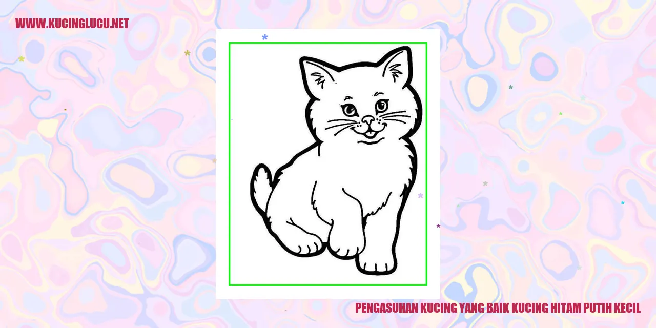 Kucing Hitam Putih Kecil yang Menggemaskan