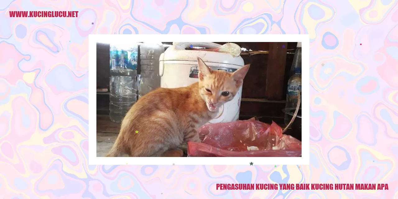 Kucing hutan makanan