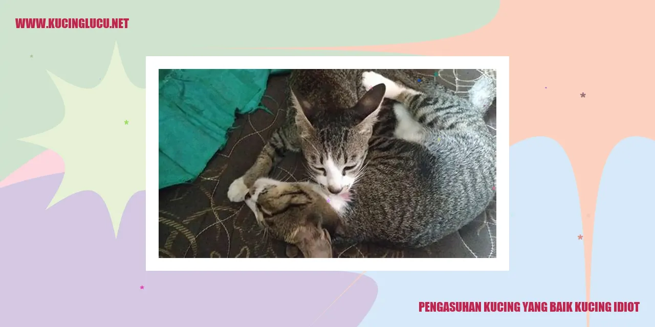 Kucing yang Bahagia