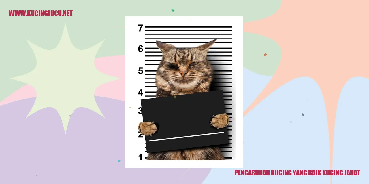 Kucing yang Bahagia