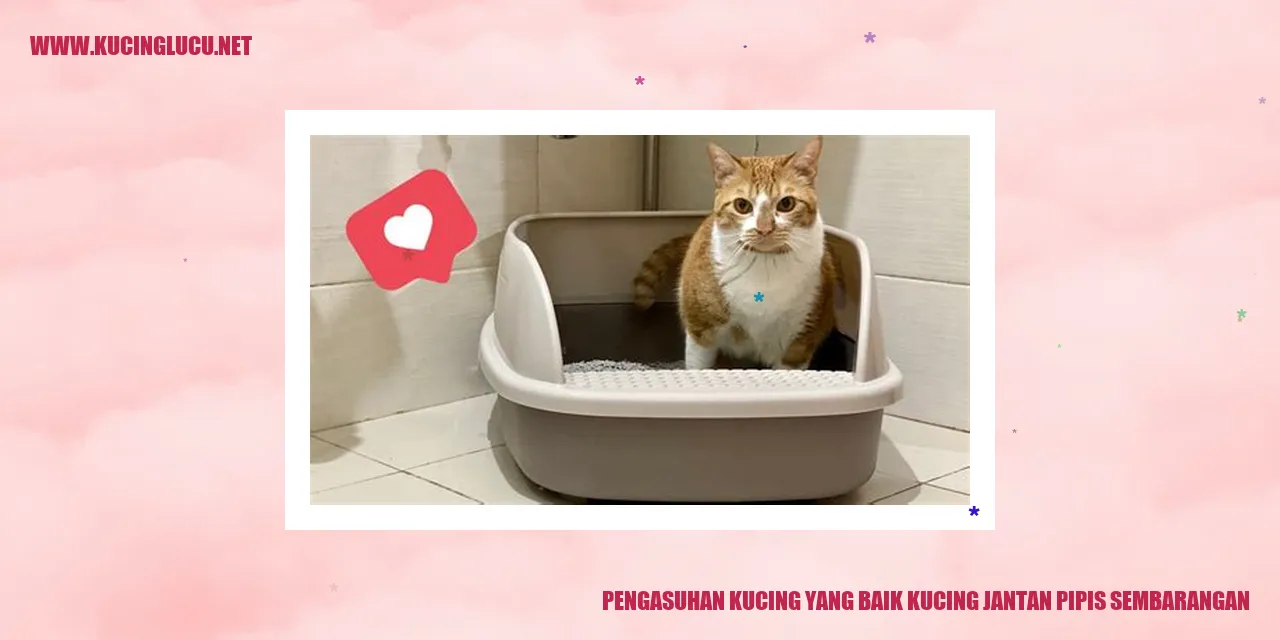 Kucing jantan pipis sembarangan
